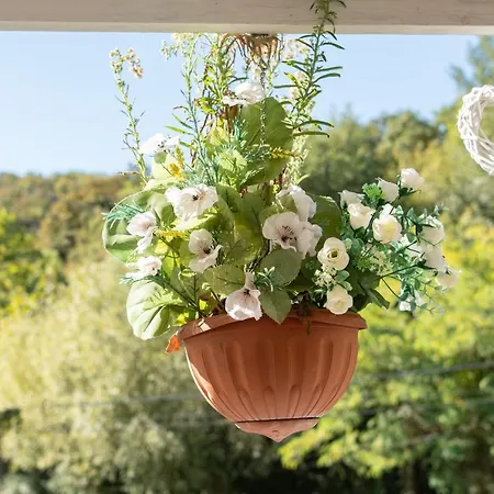 Borgo Vecchio *dream* Apartment Lonato